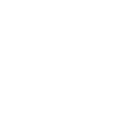 Icone fleur en pot pour Floravitalis