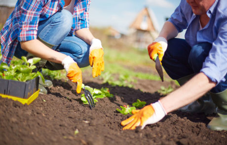 Le syndicat est entré en coopération avec le CIGL Mondercange qui assure la plantation du potager et l’entretien du jardin éducatif avec des personnes bénéficiant d’une mesure de réinsertion professionnelle.