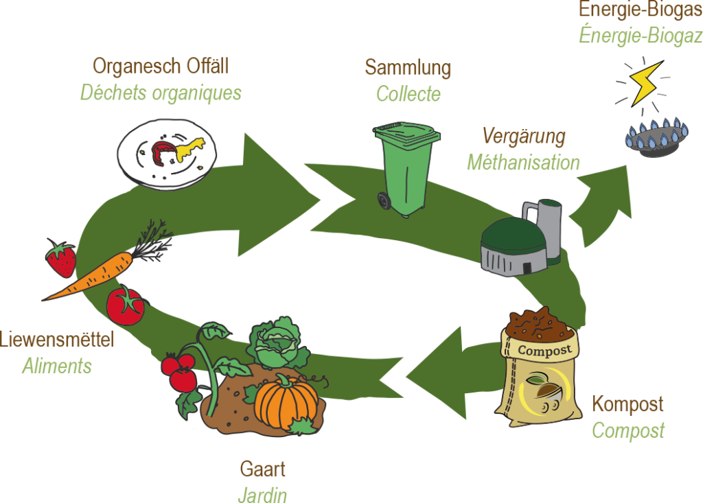 Der natürliche Kreislauf der Verwertung von organischen Abfällen bei Minett Kompost